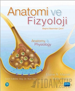 Anatomi ve Fizyoloji