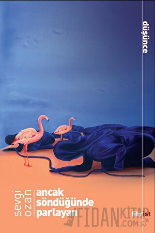 Ancak Söndüğünde Parlayan