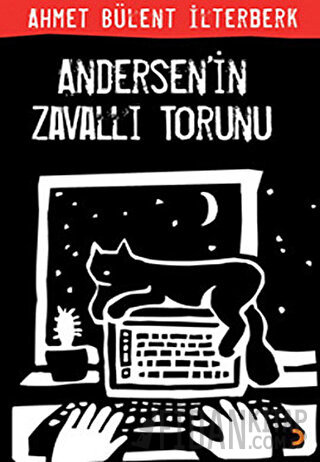 Andersen’in Zavallı Torunu