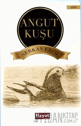 Angut Kuşu