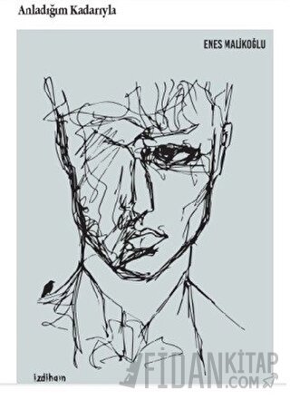 Anladığım Kadarıyla