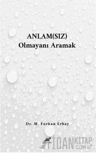 Anlam(sız) Olmayanı Aramak