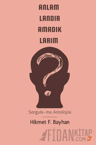 Anlamlandıramadıklarım