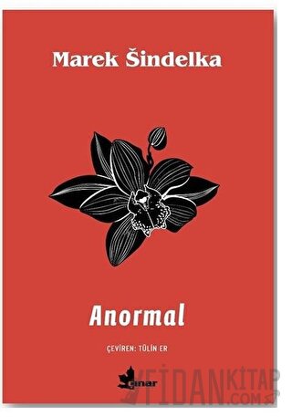 Anormal