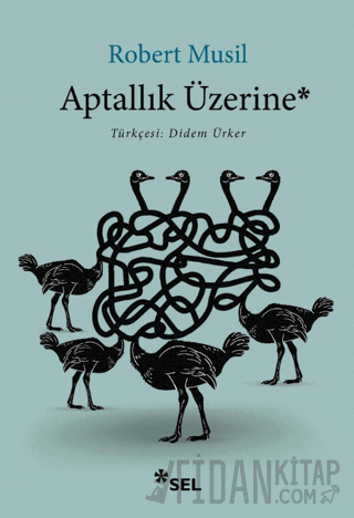Aptallık Üzerine