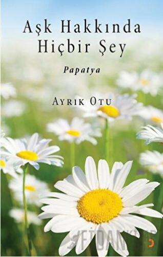 Aşk Hakkında Hiçbir Şey