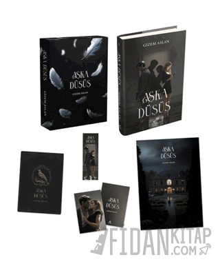 Aşka Düşüş 1 - Kutulu (Ciltli) Gizem Aslan