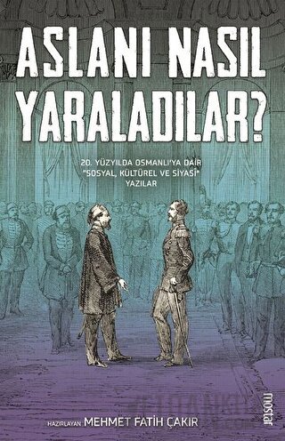 Aslanı Nasıl Yaraladılar?
