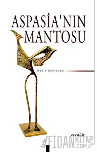 Aspasia'nın Mantosu Bekir Bayraktar