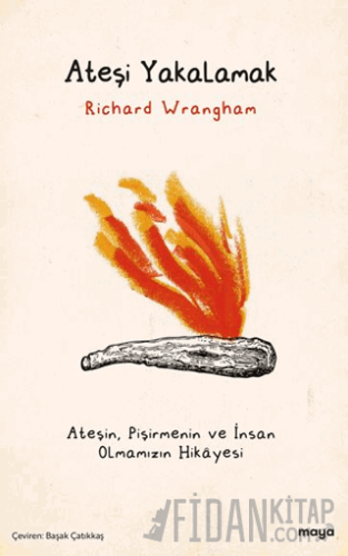 Ateşi Yakalamak