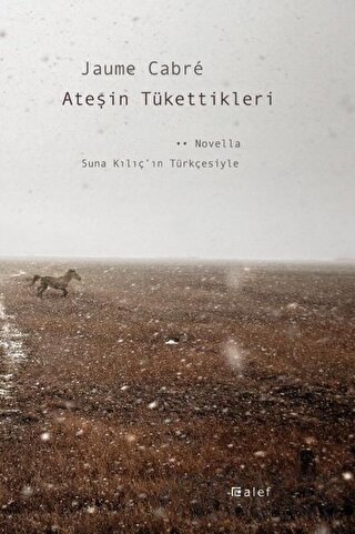 Ateşin Tükettikleri