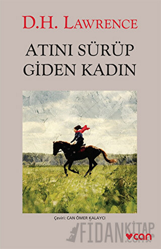 Atını Sürüp Giden Kadın