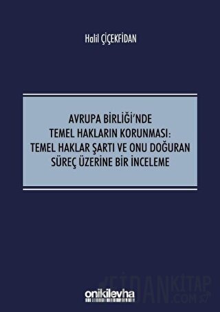 Avrupa Birliği'nde Temel Hakların Korunması: Temel Haklar Şartı ve Onu Doğuran Süreç Üzerine Bir İnceleme