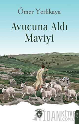 Avucuna Aldı Maviyi