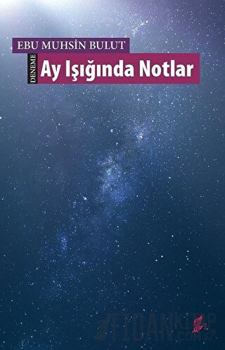 Ay Işığında Notlar