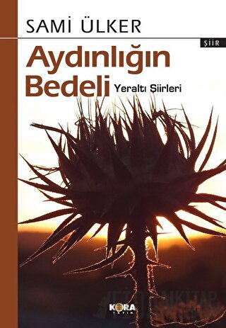 Aydınlığın Bedeli