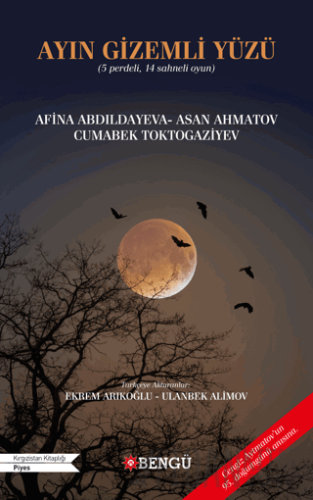 Ayın Gizemli Yüzü