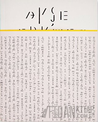 Ayşe Erkmen: Beyazımtırak