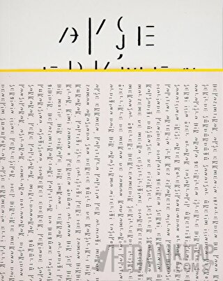 Ayşe Erkmen: Whitish