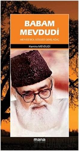 Babam Mevdudi