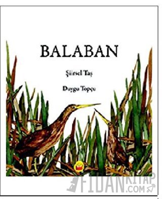 Balaban Şiirsel Taş