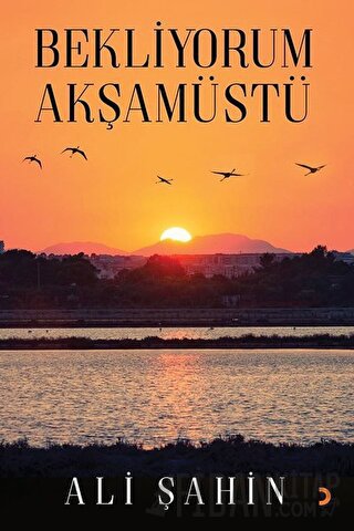 Bekliyorum Akşamüstü Ali Şahin