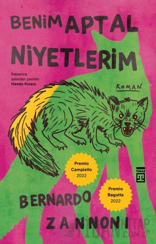 Benim Aptal Niyetlerim