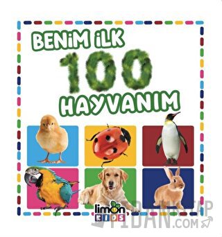 Benim İlk 100 Hayvanım (Küçük Boy) Kolektif
