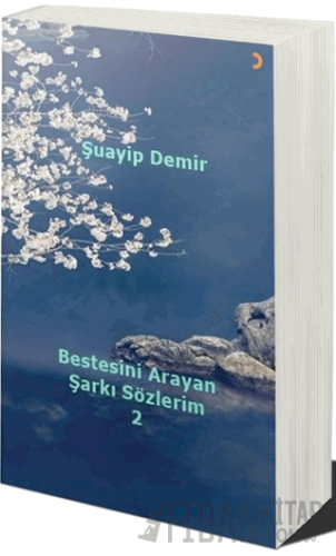 Bestesini Arayan Şarkı Sözlerim 2
