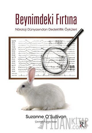 Beynimdeki Fırtına