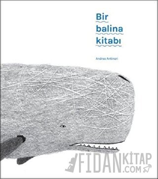 Bir Balina Kitabı Andrea Antinori