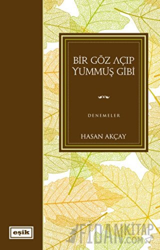 Bir Göz Açıp Yummuş Gibi