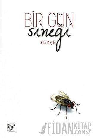 Bir Gün Sineği