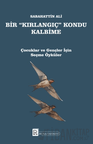 Bir Kırlangıç Kondu Kalbime