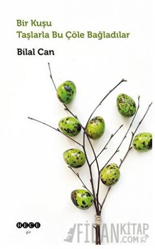 Bir Kuşu Taşlarla Bu Çöle Bağladılar