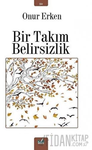 Bir Takım Belirsizlik