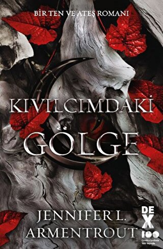 Bir Ten ve Ateş Romanı: Kıvılcımdaki Gölge