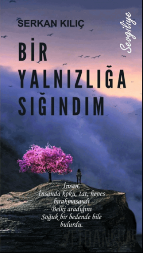 Bir Yalnızlığa Sığındım Serkan Kılıç