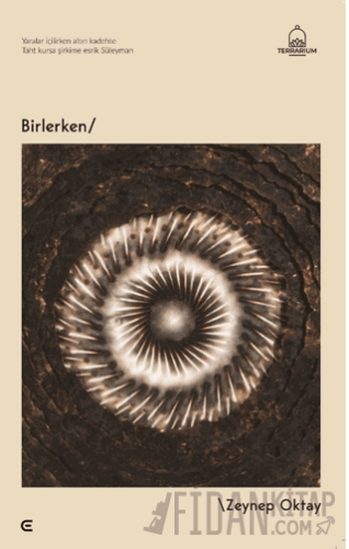 Birlerken Zeynep Oktay