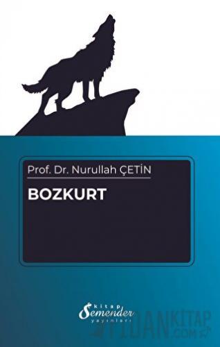 Bozkurt Nurullah Çetin