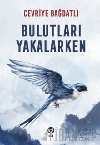 Bulutları Yakalarken