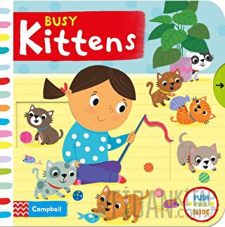 Busy Kittens Kolektif