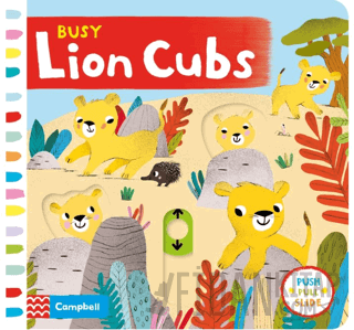 Busy Lion Cubs (Ciltli) Kolektif