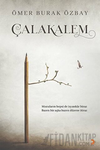 Çalakalem