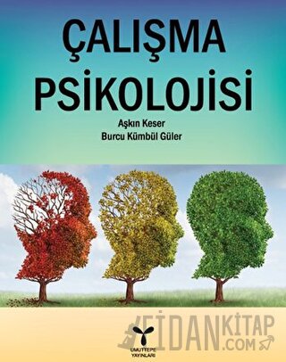 Çalışma Psikolojisi