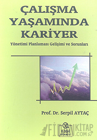 Çalışma Yaşamında Kariyer