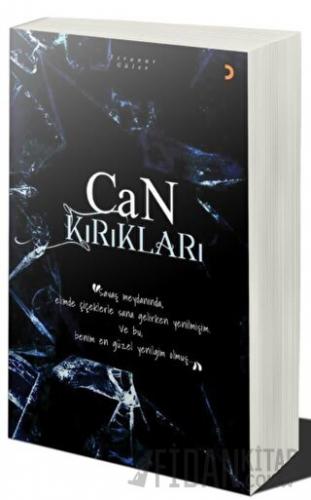 Can Kırıkları