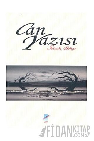 Can Yazısı