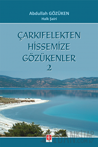 Çarkıfelekten Hissemize Gözükenler 2