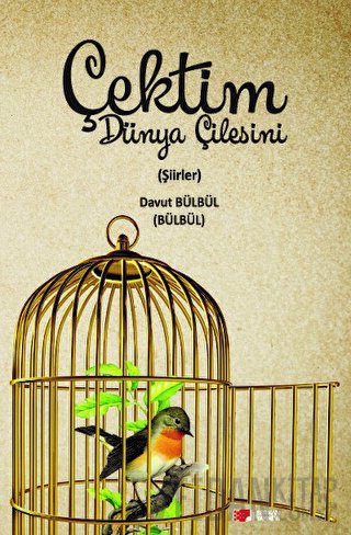 Çektim Dünya Çilesini